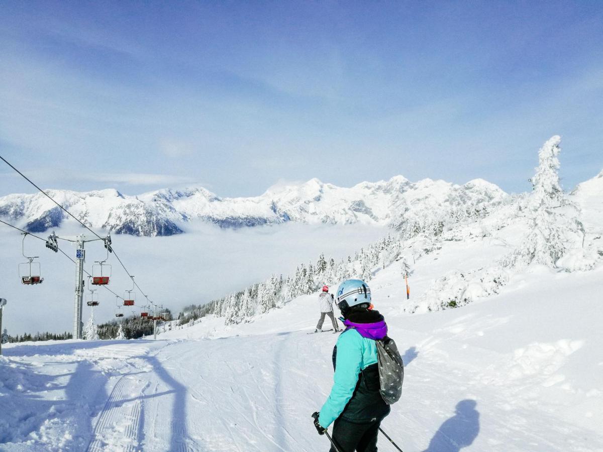 Koca Kronca - Velika Planina Stahovica Exterior foto