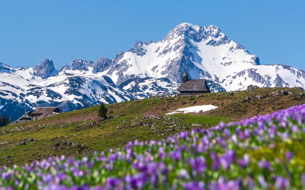 Koca Kronca - Velika Planina Stahovica Exterior foto
