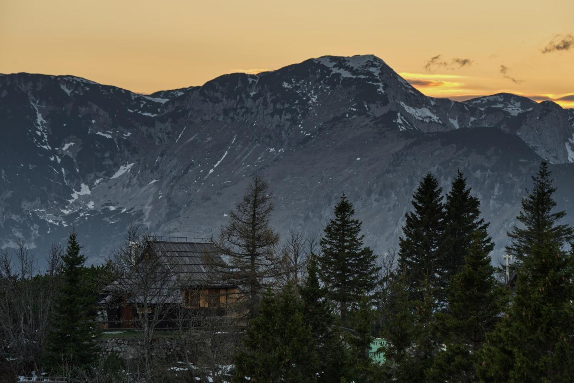 Koca Kronca - Velika Planina Stahovica Exterior foto